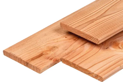 Douglas tuinplank, gedroogd, geschaafd, ronde hoeken 1.6 x 14 cm