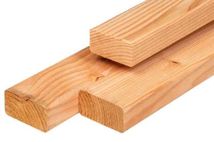 Douglas ligger, gedroogd, geschaafd, ronde hoeken, 4.5 x 9 cm