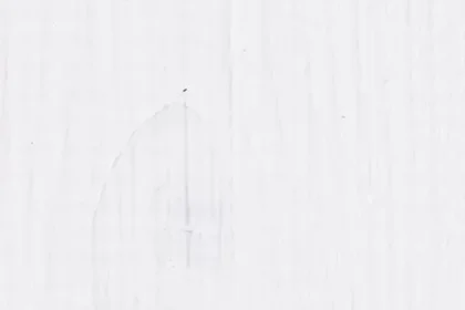 Carefree Protect Wit