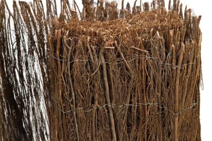 Dopheidemat op rol 500 cm