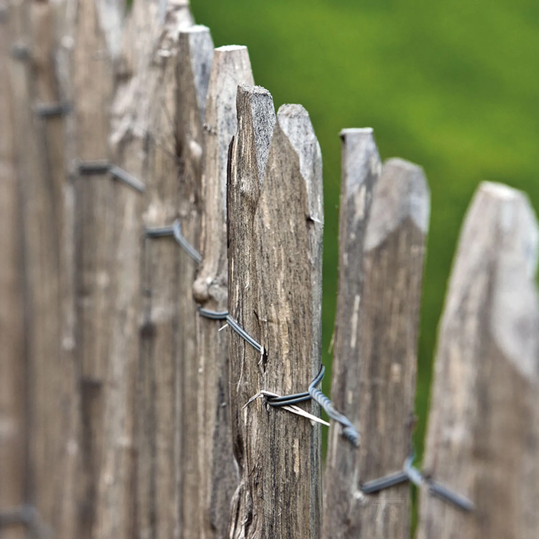 Engelse kastanjerol, 2 draden, latafstand 5,0 cm - 460 x 90 cm - Afbeelding 5