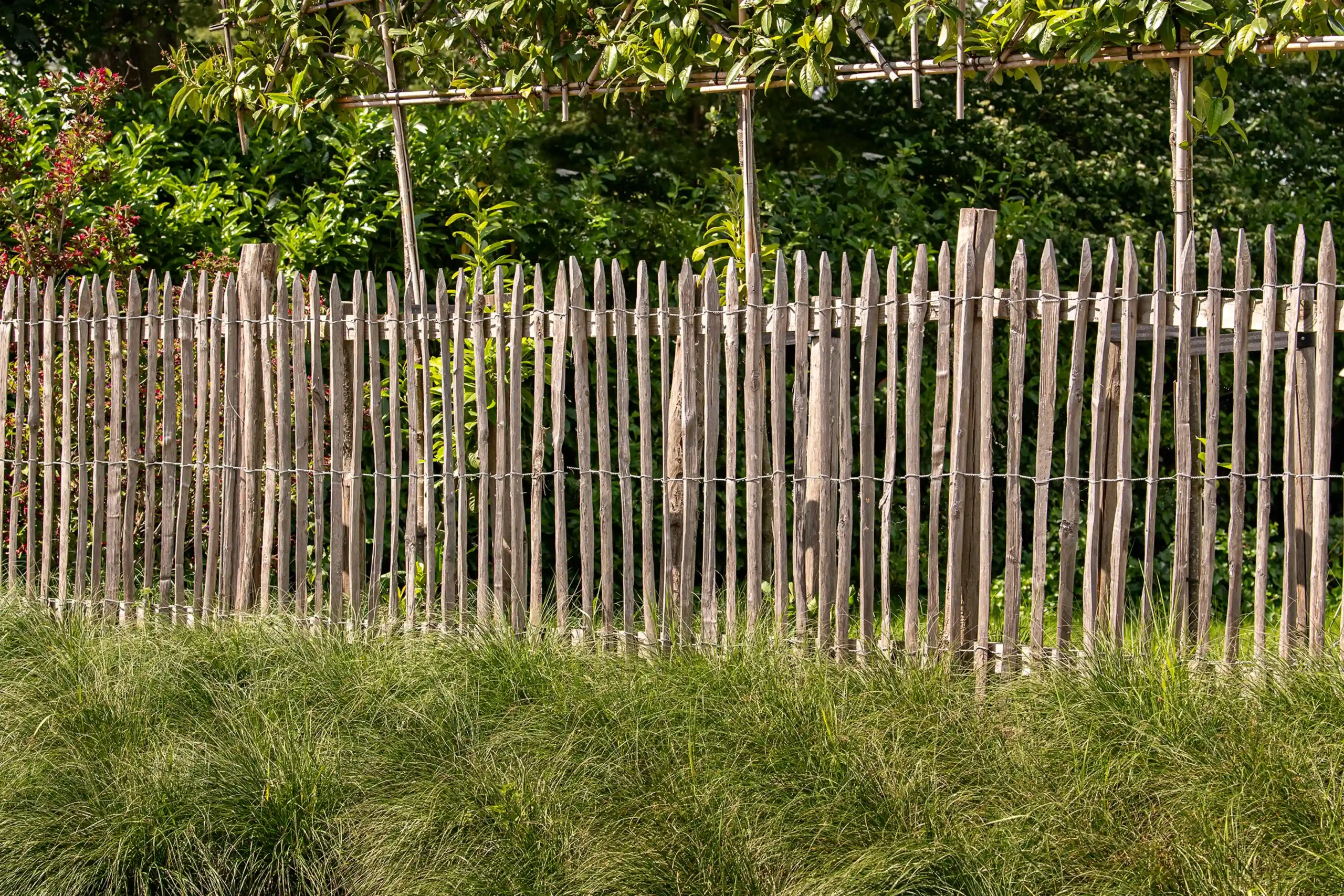 Engelse kastanjerol, 3 draden, latafstand 7,5 cm - 460 x 120 cm - Afbeelding 4