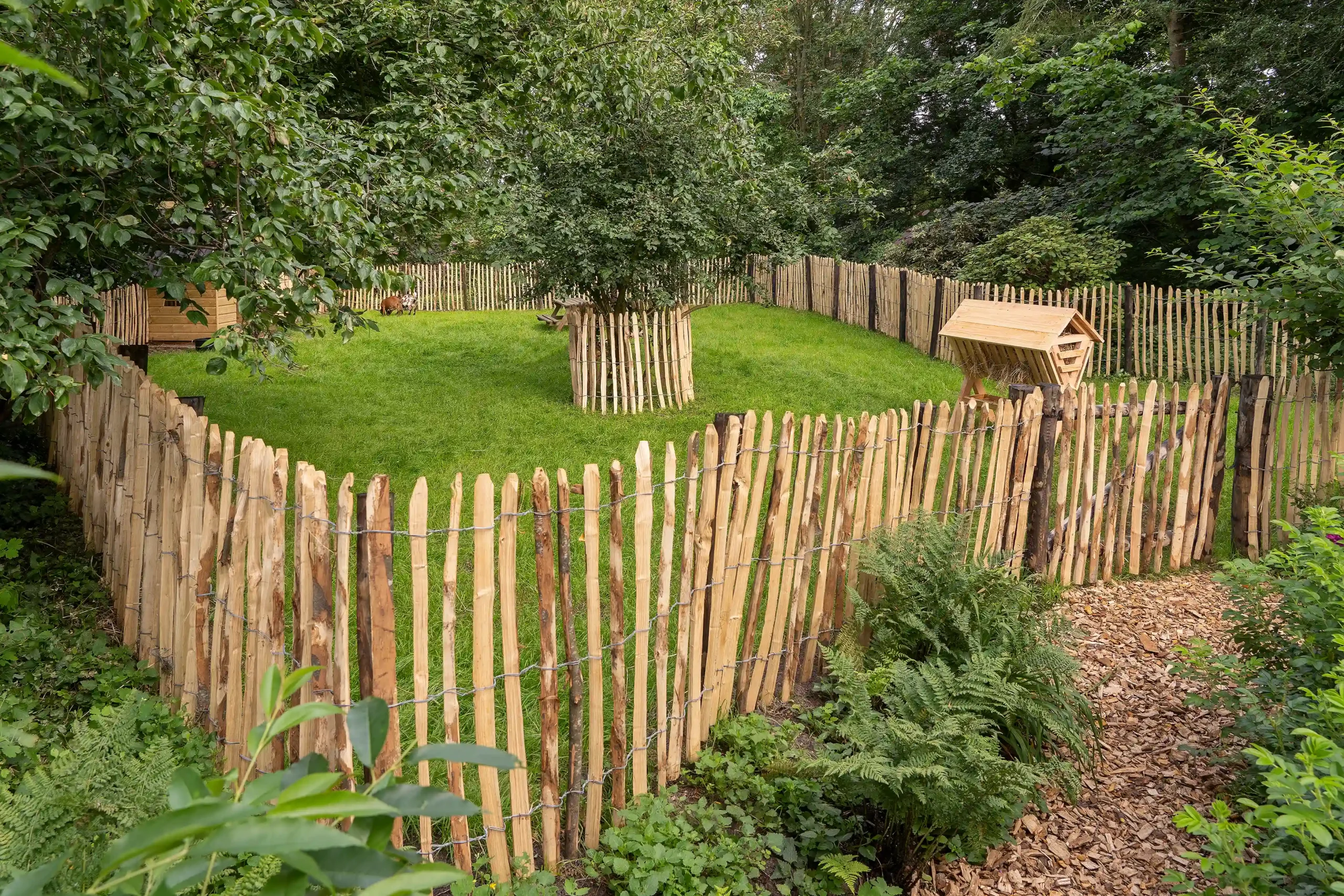 Engelse kastanjerol, 3 draden, latafstand 7,5 cm - 460 x 120 cm - Afbeelding 2