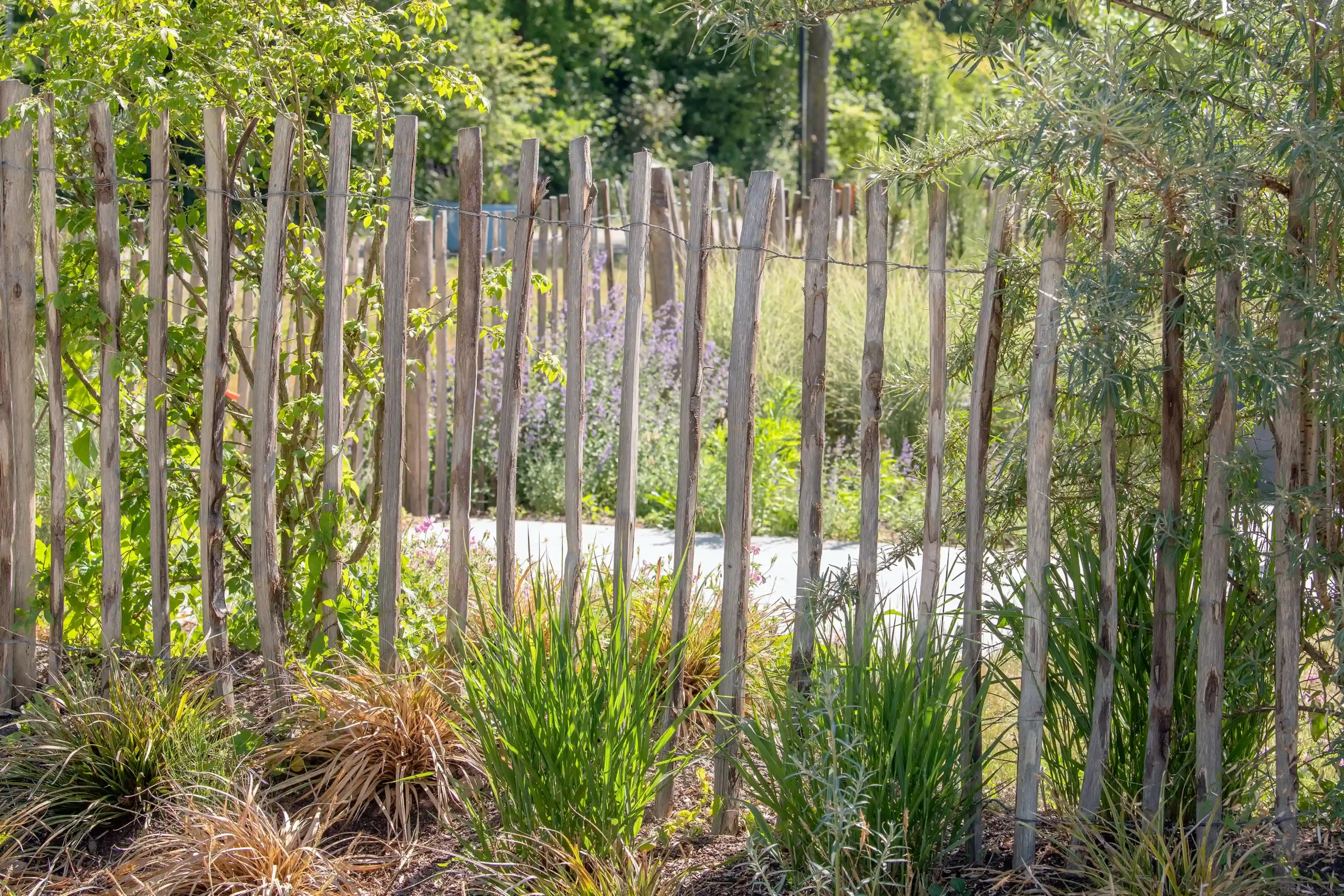 Engelse kastanjerol, 3 draden, latafstand 7,5 cm - 460 x 120 cm - Afbeelding 3