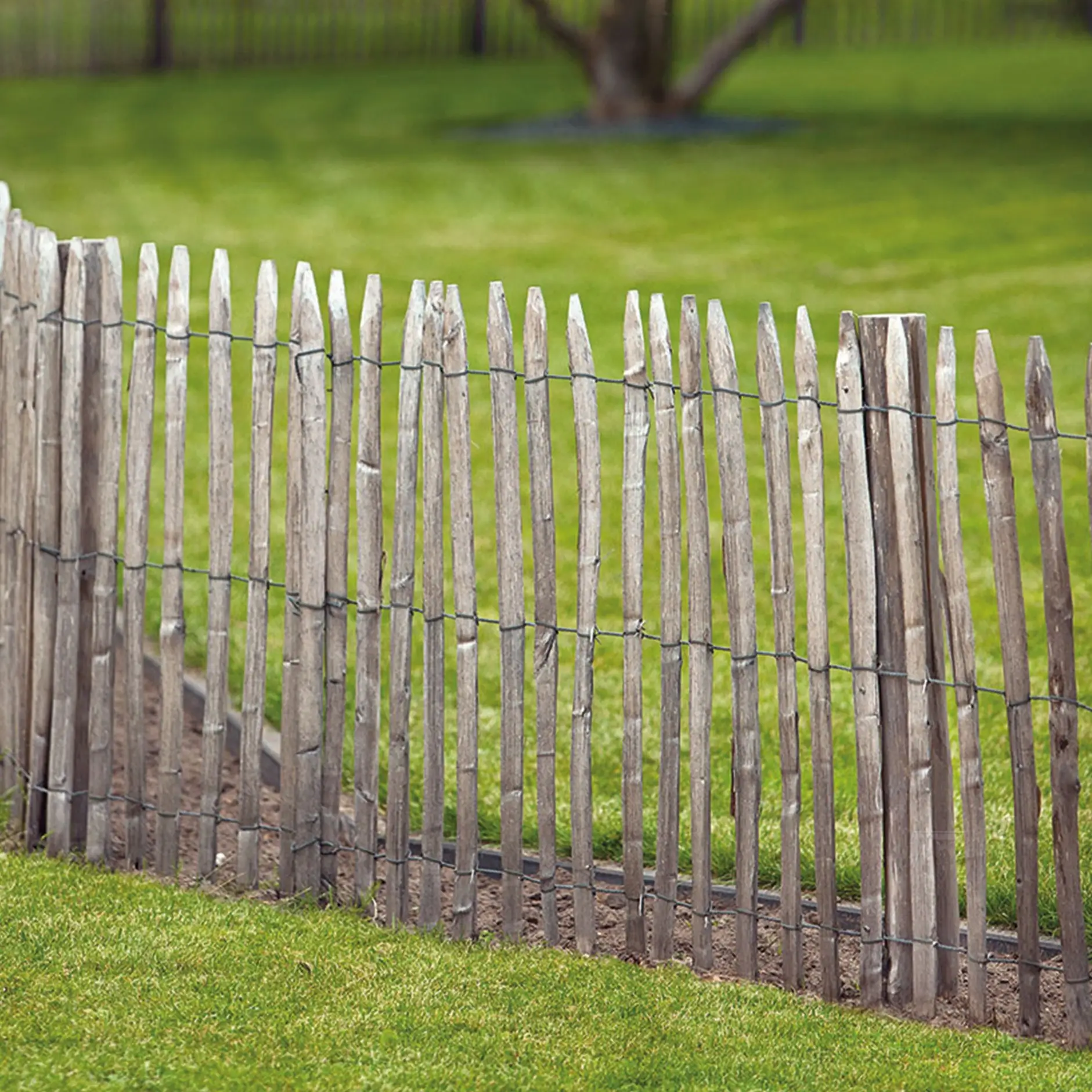 Engelse kastanjerol, 3 draden, latafstand 7,5 cm - 460 x 120 cm