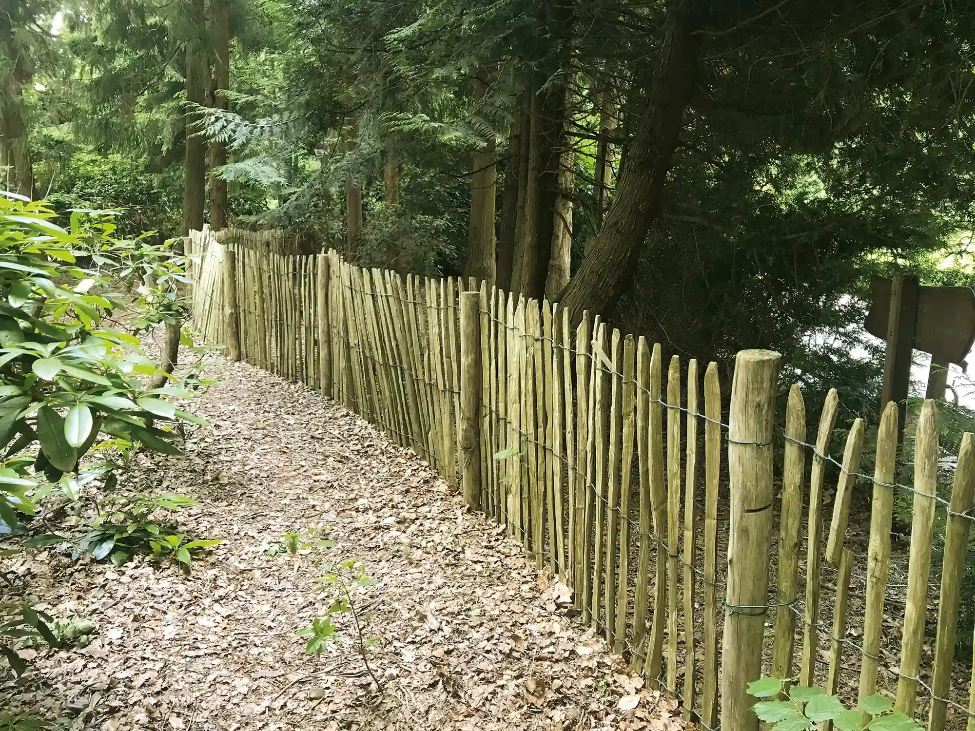 Kastanjepaal geschild, gepunt, niet gekruind Ø7-9 cm - Afbeelding 2