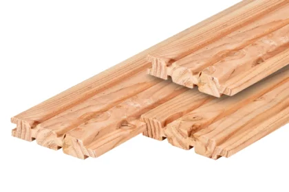 Douglas tripleprofiel, gedroogd 2,8 x 14,5 cm