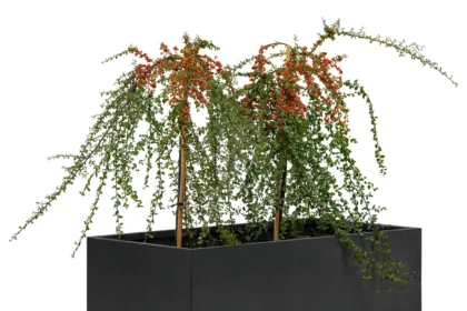 Bloembak Mohawk, zwart gepoedercoat staal 50 x 90 x 50 cm